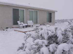 Green Witch House in the Snow 